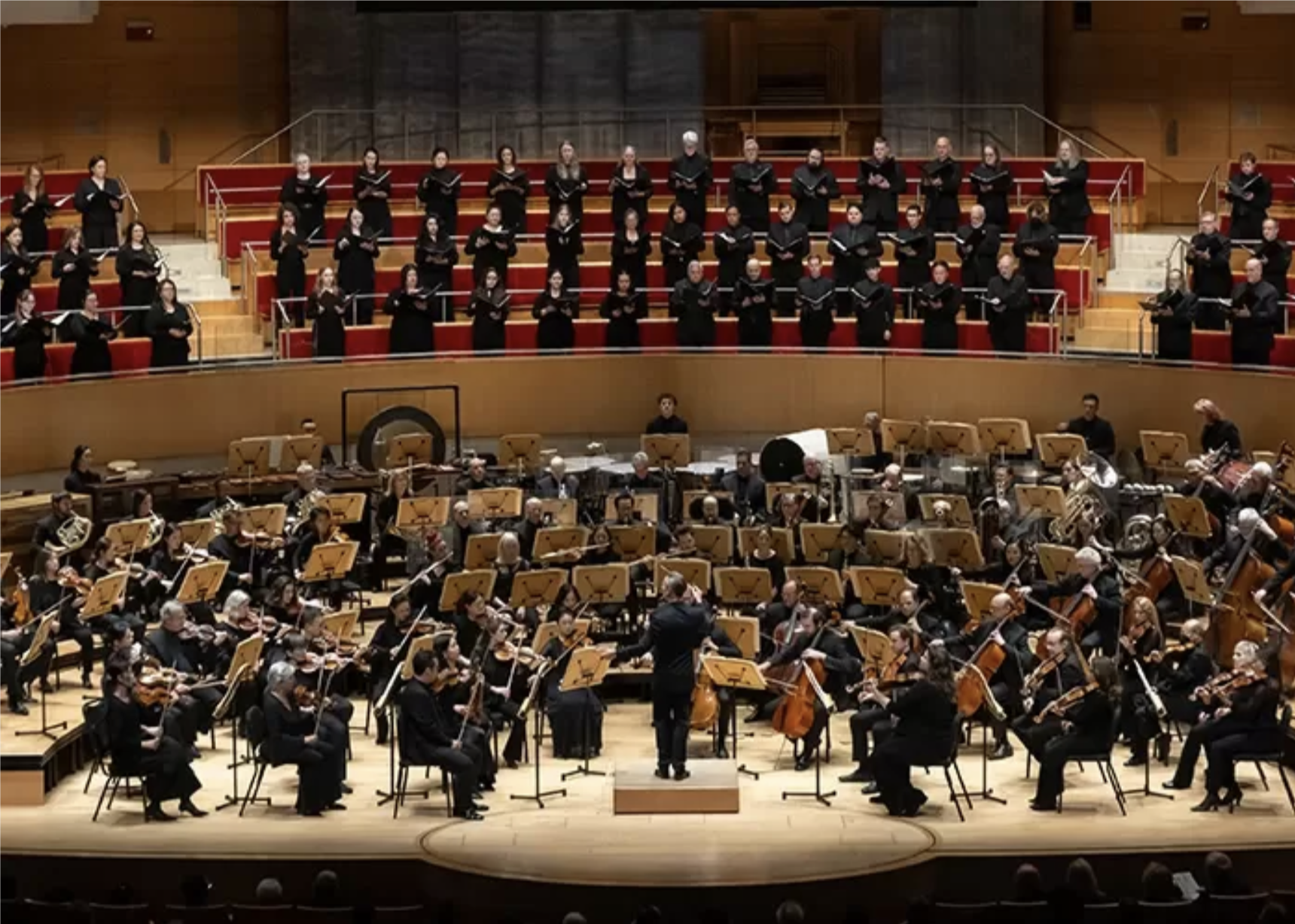 Pacific Symphony Shelley